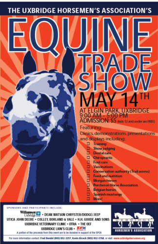 Everything Equine Everything Equine